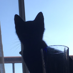 黒猫のあるじ