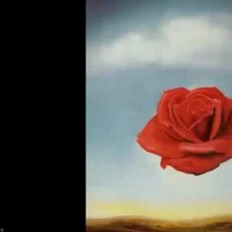 Блюдо salvador rose 40см. Сальвадор дали meditative rose. Блюдо salvador rose 40см. Дали роуз. Salvador dali картины.