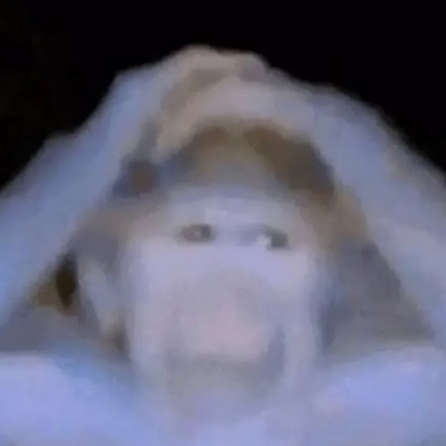 Заяц из винипуха картинки