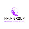 Веб-студия Profigroup