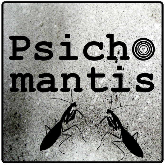 Psichomantis Net Worth & Earnings (2025)