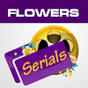 What could Flowers Serials buy with $241.06 thousand?