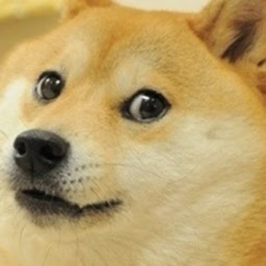 WowDoge 