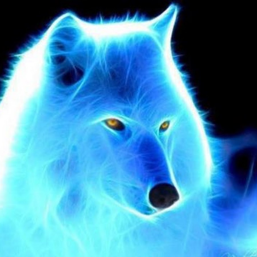 Electric wolf - YouTube
