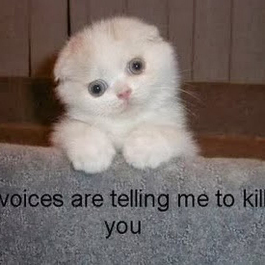 Когда ты приедешь ко мне. А я возьму и приеду. Доедешь позвони. А я возьму и приеду. Возьмешь меня с собой.