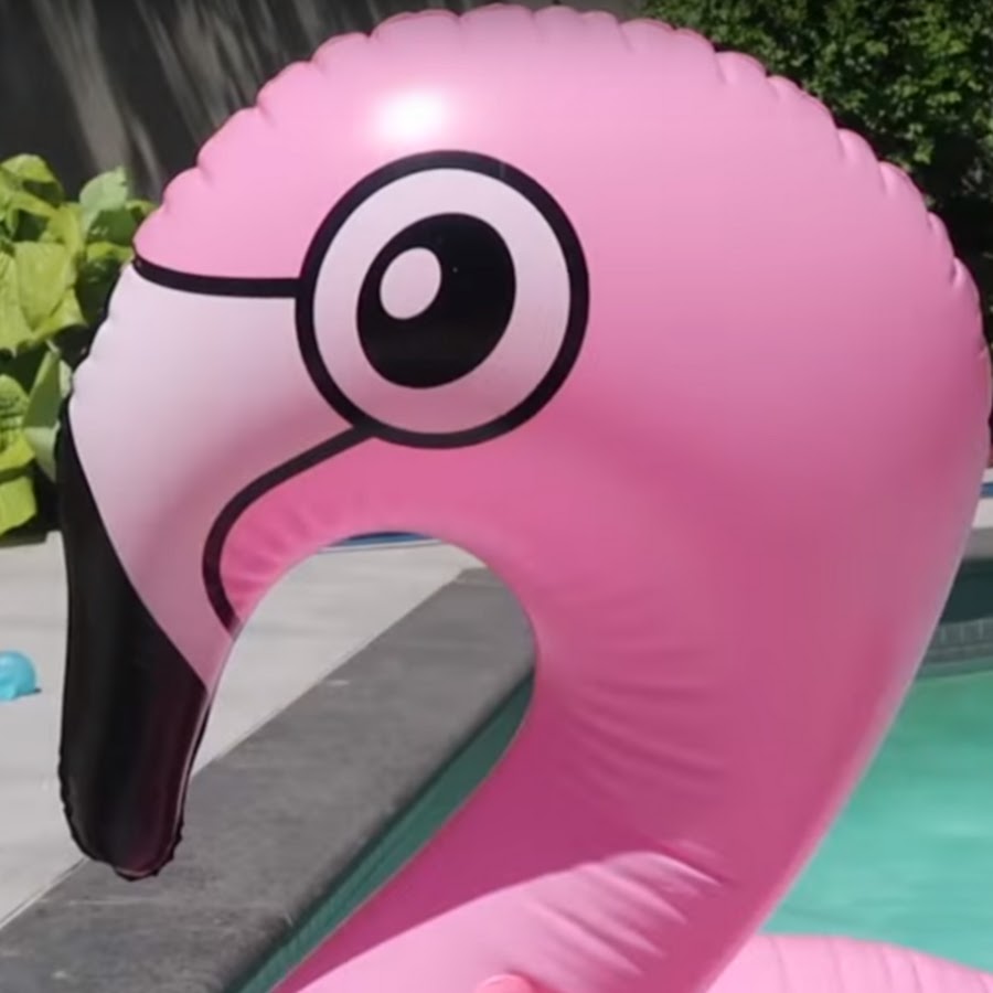Mr. Flamingo - YouTube
