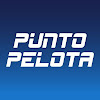 What could Punto Pelota buy with $103.61 thousand?
