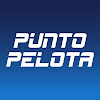 What could Punto Pelota buy with $103.6 thousand?