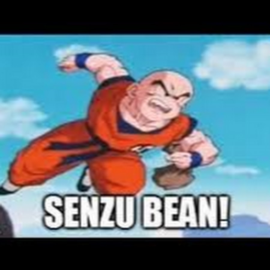 Hey everyone this is TFS Krillin givin u new videos and senzu beans.
