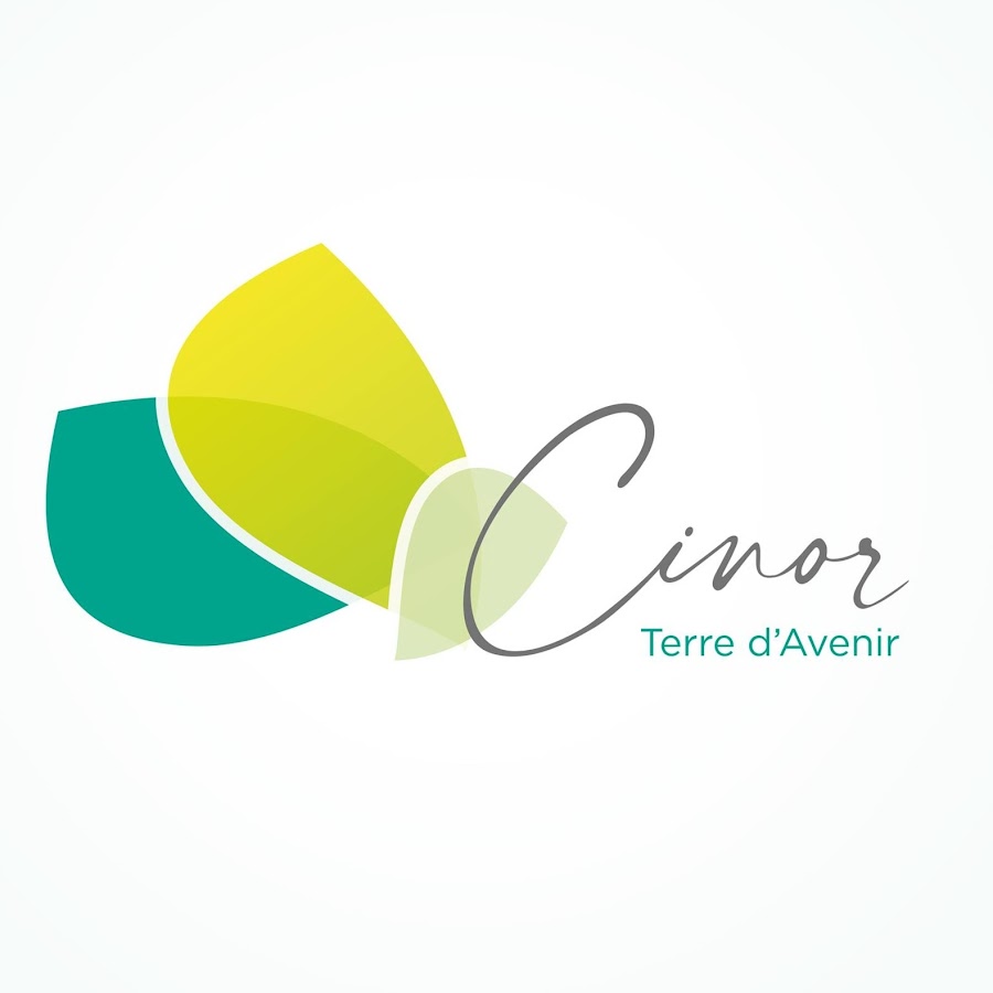 Cinor La Réunion Youtube