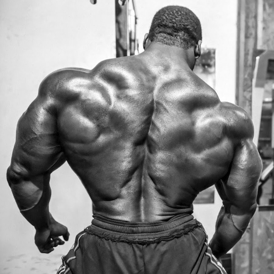 Muscle Trapez