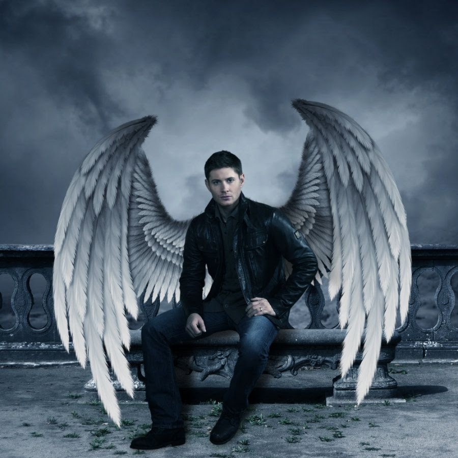 AGF-l786C41B9-81x8wgY5GpjBaXwDFeoQzWb9vZxA=s900-c-k-c0xffffffff-no-rj-mo