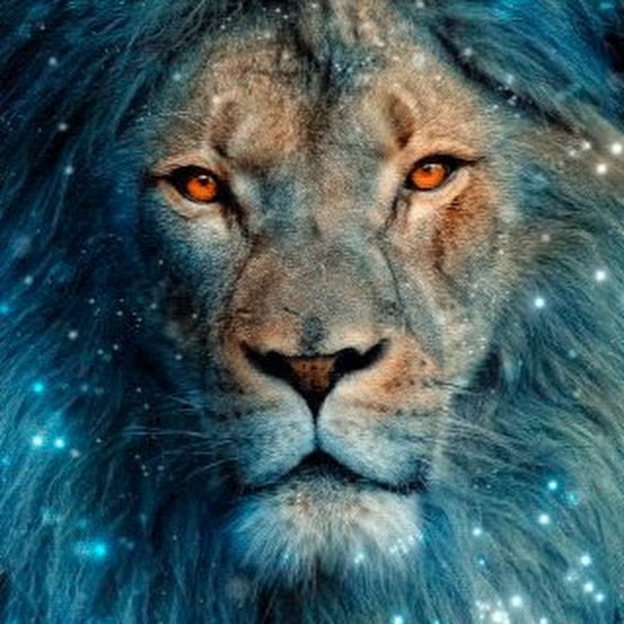 ASLAN 1921 - YouTube