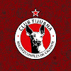 What could Xolos buy with $100 thousand?