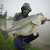 Ty PigPatrol
