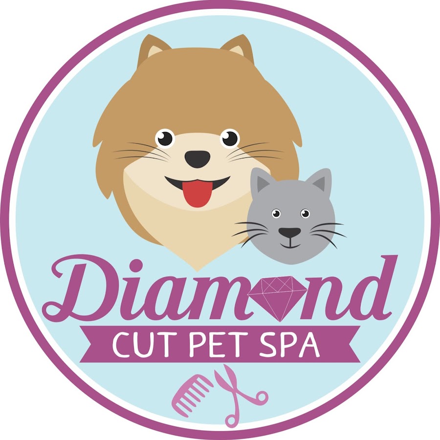 Pet spa. Pet Cut салон. Хоу салон Pet Cut. Diamond Pet.