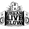 What could URBAN LIVE FLOW buy with $100 thousand?
