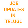 What could JOB UPDATES IN TELUGU buy with $111.71 thousand?