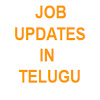 What could JOB UPDATES IN TELUGU buy with $111.7 thousand?