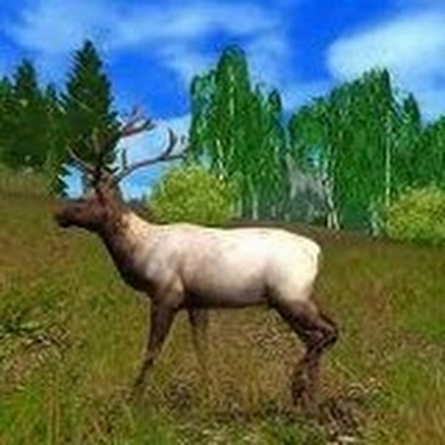 Хантинг симулятор 1. Хант симулятор сурвайвал. Игры про охоту на пк. Hunter игра про охоту. Симулятор охотника.