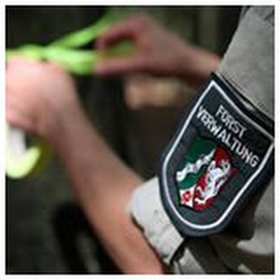 Wald Und Holz Nrw Youtube