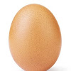 Egg with 50,000 Subscribers