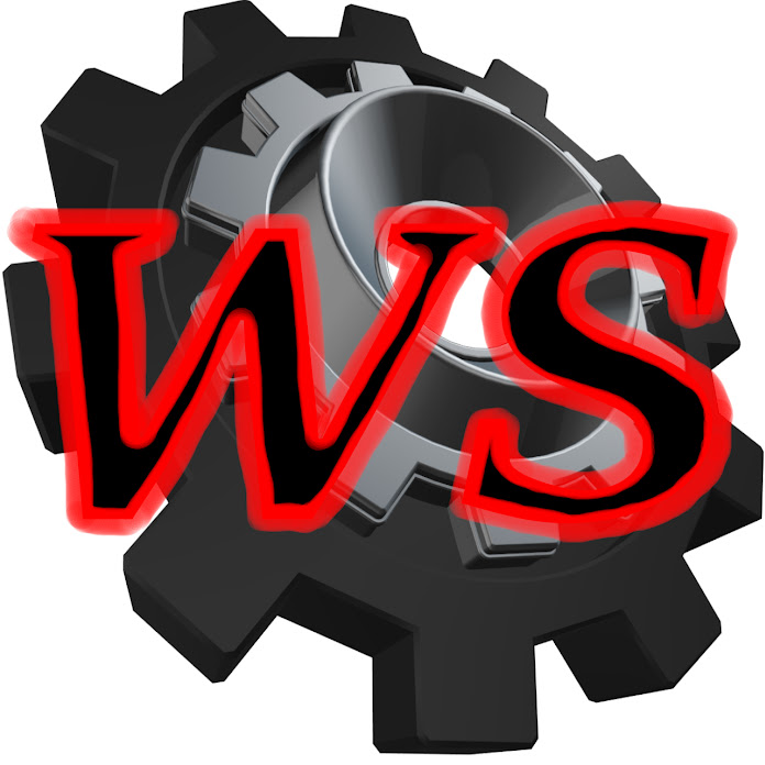 Wasilij Saizev Net Worth & Earnings (2026)