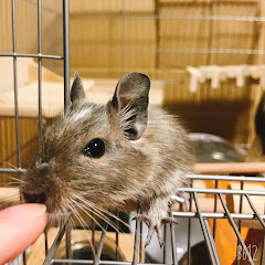 はりーシまとめ