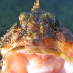 ε���Υ饤�ȥ륢���ե��å��󥰤����ͤ� YouTube