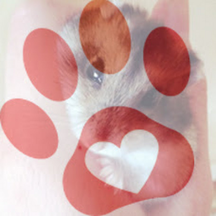 Miyuki Tiervideos mit Herz Net Worth & Earnings (2026)