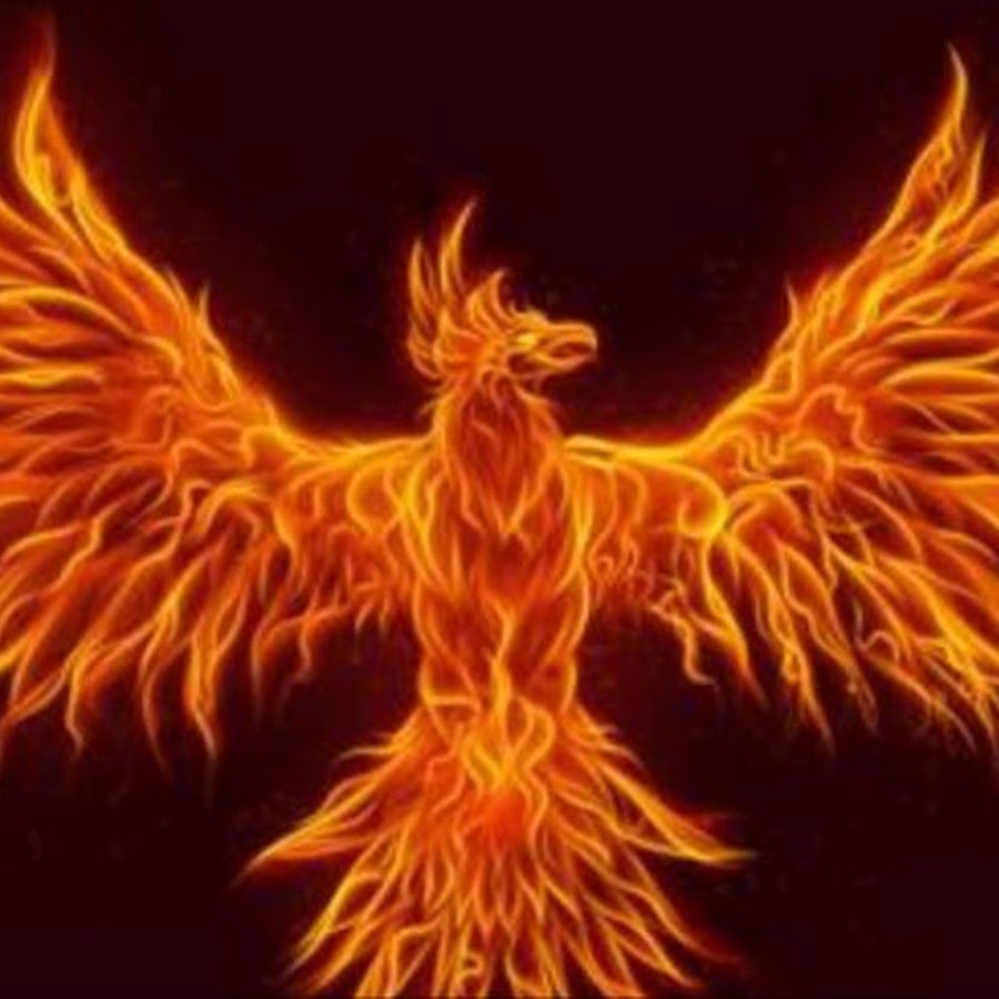 Phoenix Fire YouTube