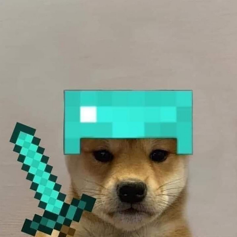 blox gamerpics dogwifhat gamerpic