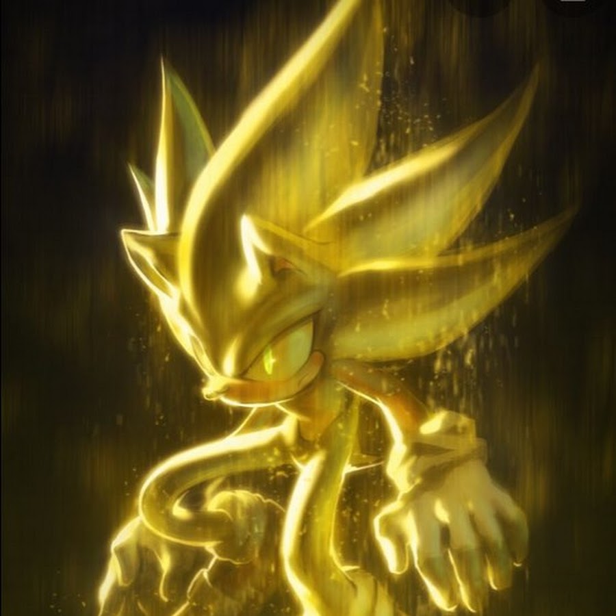 Extental Gold hedgehog - YouTube