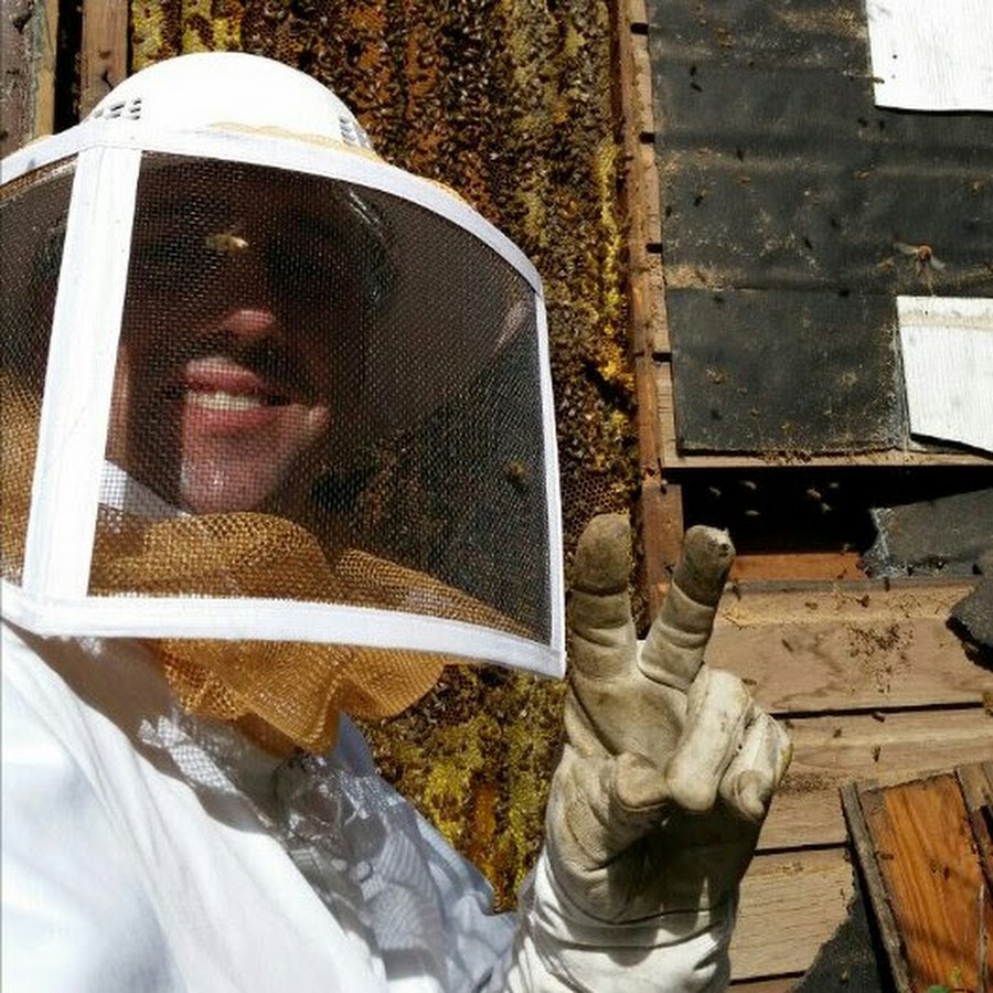 No Kill Bee Removal Company YouTube