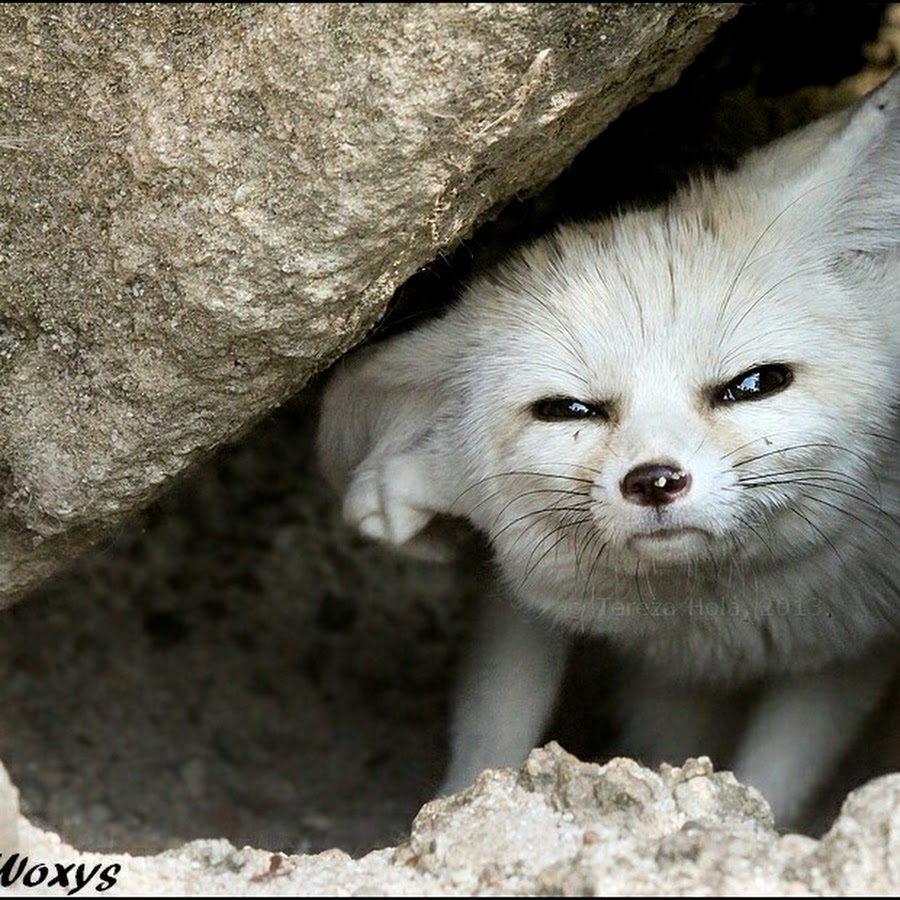 Демотиваторы про утро. Демотиваторы про утро. Демотиваторы про утро. Демотиваторы бодро е утро. С добрым утром черный юмор.