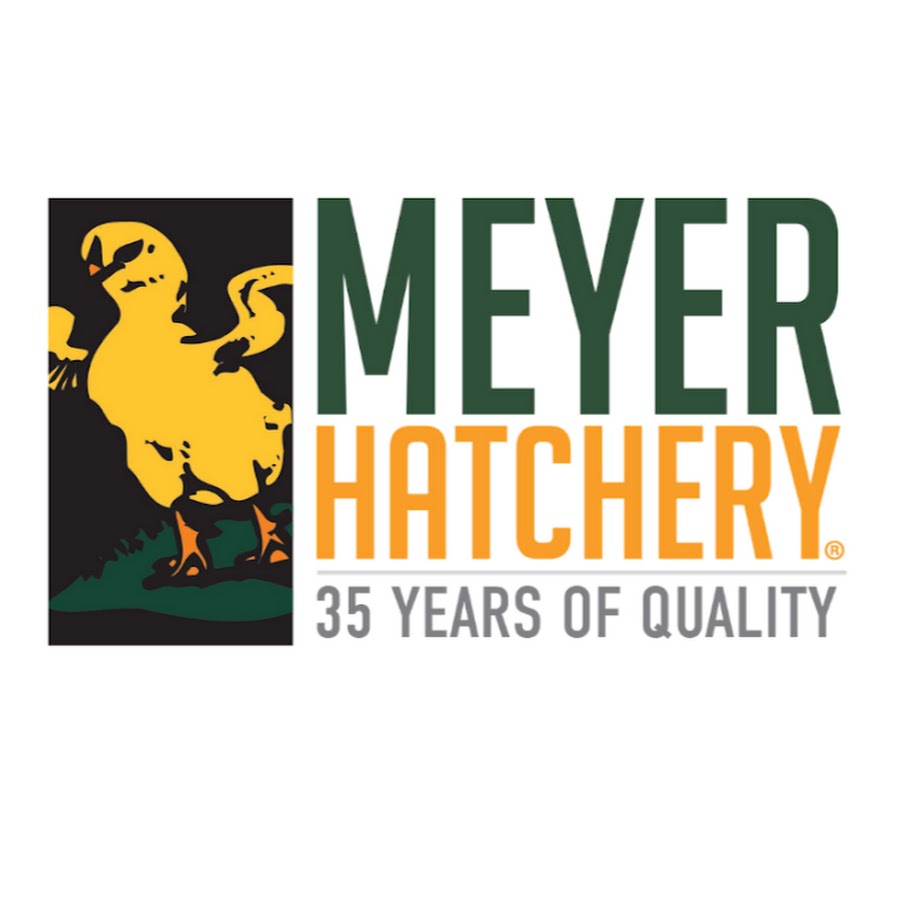 Meyer Hatchery YouTube