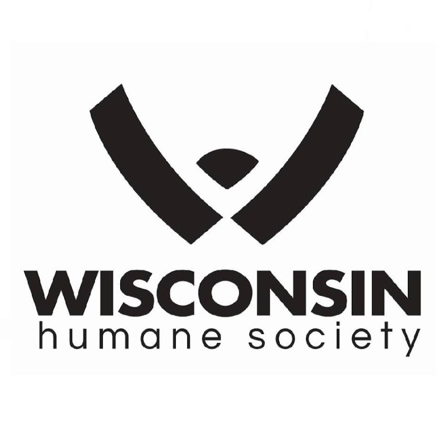 Wisconsin Humane Society YouTube