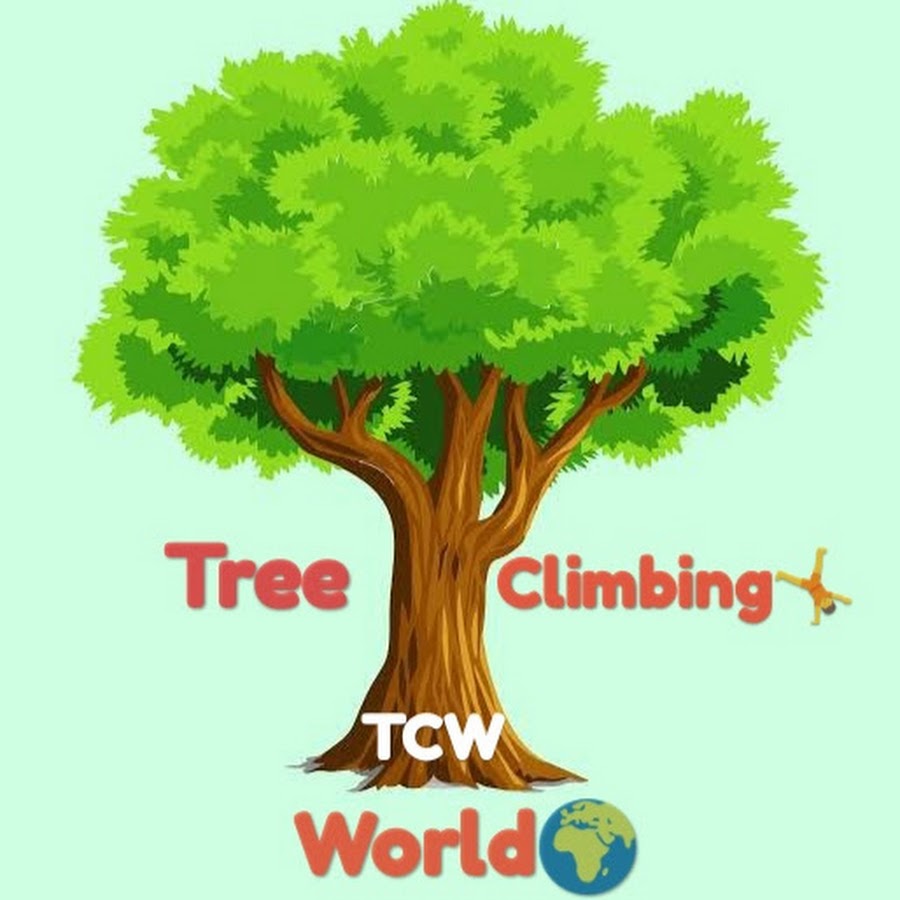 Can your climb a tree. Climb trees перевод на русский.
