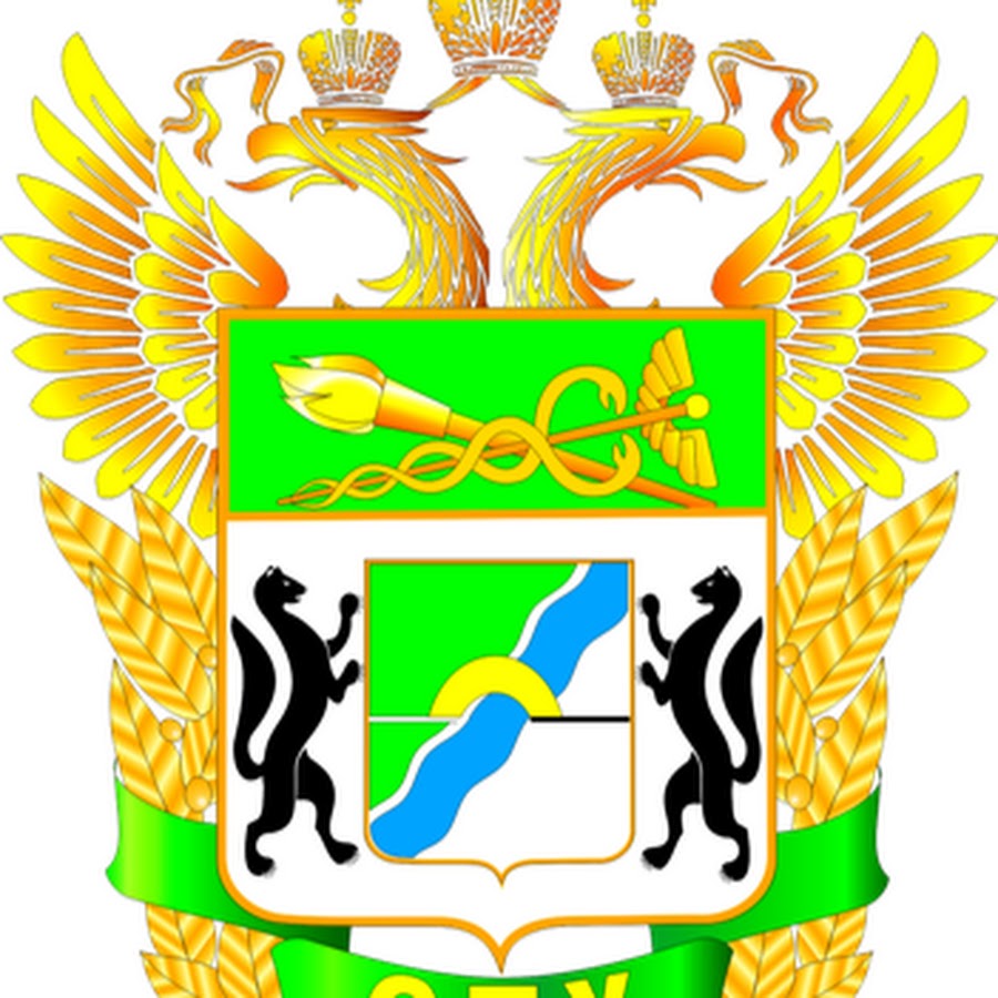 с бирскоетаможенное управление. начальник сибирского таможенного управления. сибирское таможенное управление новосибирск. сибирское таможенное управление новосибирск. сибирское таможенное управление структура.