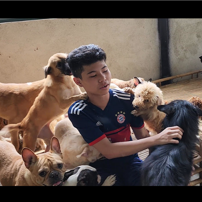 Tin tức Sao Việt Net Worth & Earnings (2026)