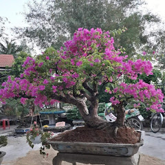 千鳥の相席食堂