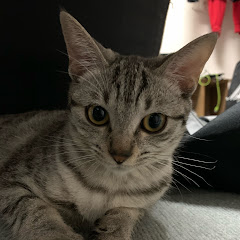 柿沼儀揚