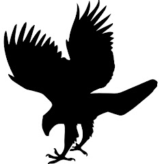 ひろぬこ【ひろゆき切り抜き】