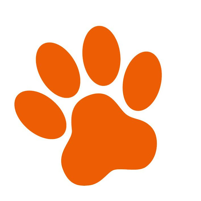 DierenpraatTV Net Worth & Earnings (2026)