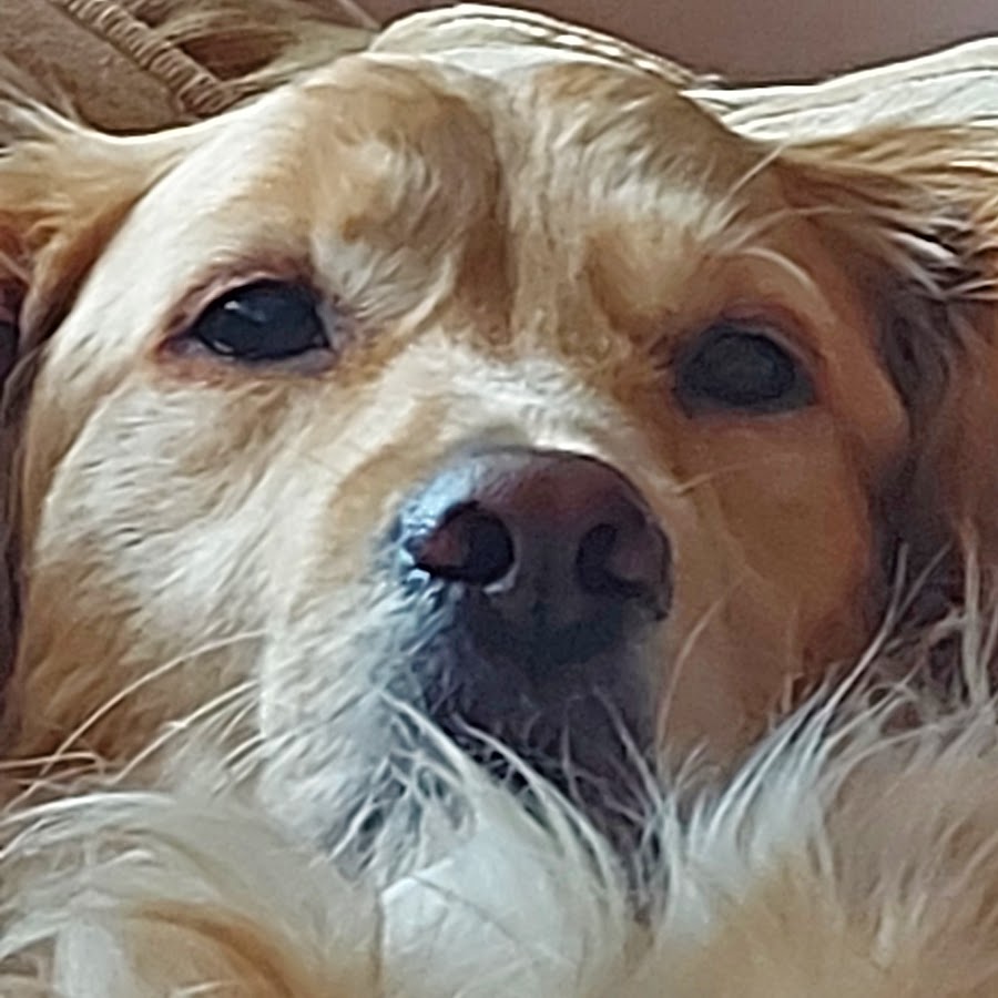 Lugal_ ki_en_000-0001 - YouTube