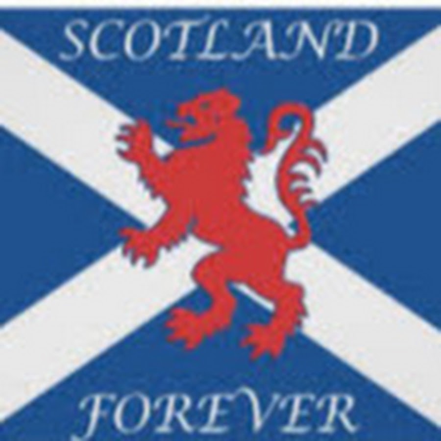 Лего бородинская битва. Scotland флаг. Шотландский герб старый. Ватерлоо 1815 книга польша. Скотланд форевер.