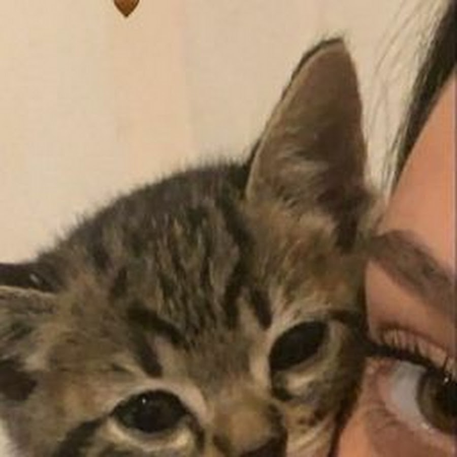 �������� ����� ����, �����