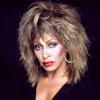 What could TINA Turner Blog buy with $1.8 million?