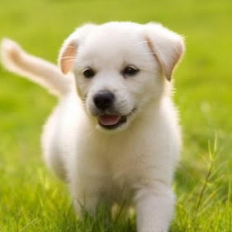 Gymnast Girl - YouTube