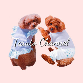 Taruto Channel ユーチューバー